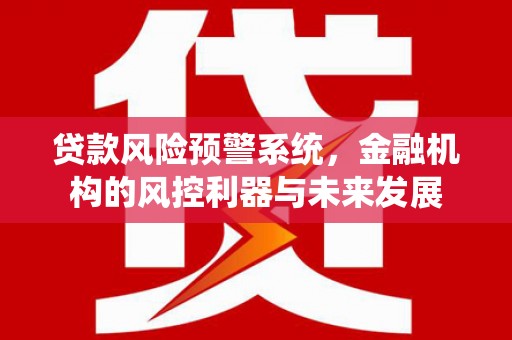 涟水贷款风险预警系统，金融机构的风控利器与未来发展
