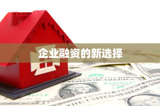 涟水企业融资的新选择