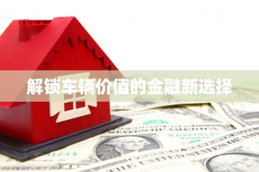 涟水解锁车辆价值的金融新选择