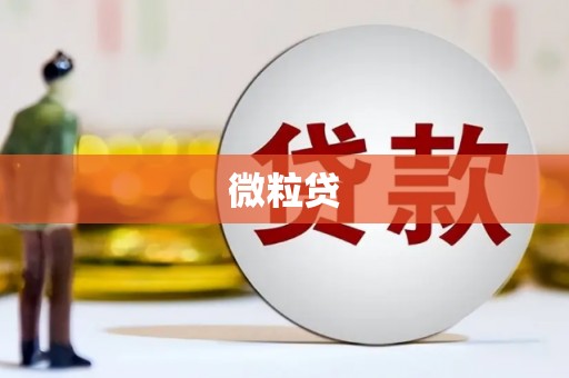 涟水微粒贷