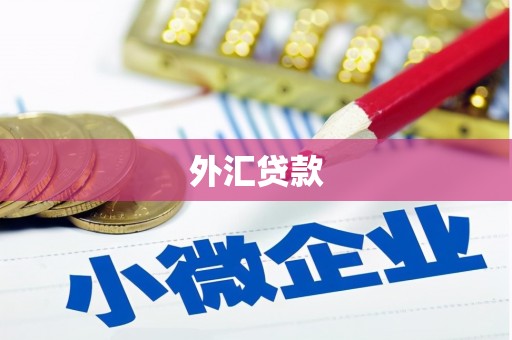 涟水外汇贷款