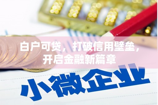 涟水白户可贷，打破信用壁垒，开启金融新篇章