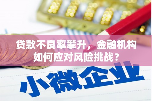 涟水贷款不良率攀升，金融机构如何应对风险挑战？