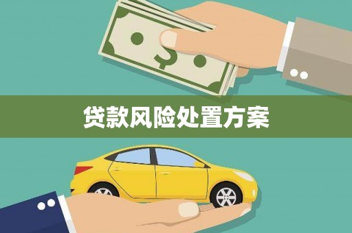 涟水贷款风险处置方案