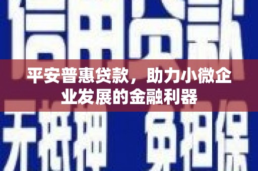 涟水平安普惠贷款，助力小微企业发展的金融利器