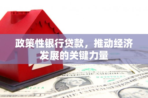 涟水政策性银行贷款，推动经济发展的关键力量