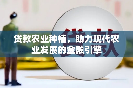 涟水贷款农业种植，助力现代农业发展的金融引擎