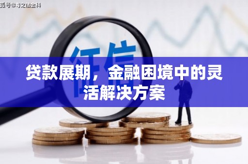 涟水贷款展期，金融困境中的灵活解决方案