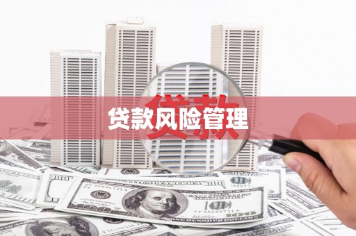 涟水贷款风险管理