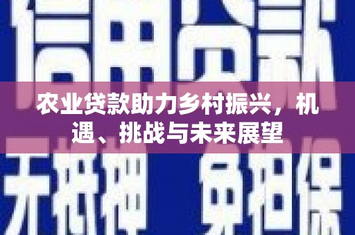 涟水农业贷款助力乡村振兴，机遇、挑战与未来展望