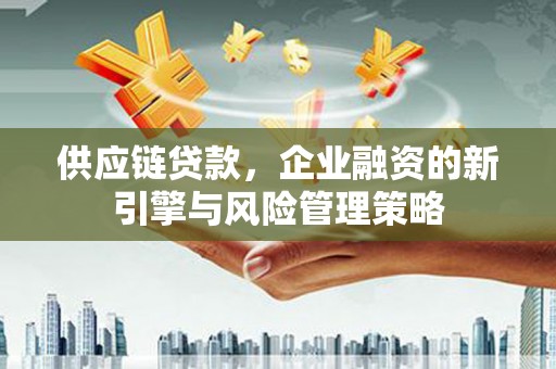 涟水供应链贷款，企业融资的新引擎与风险管理策略