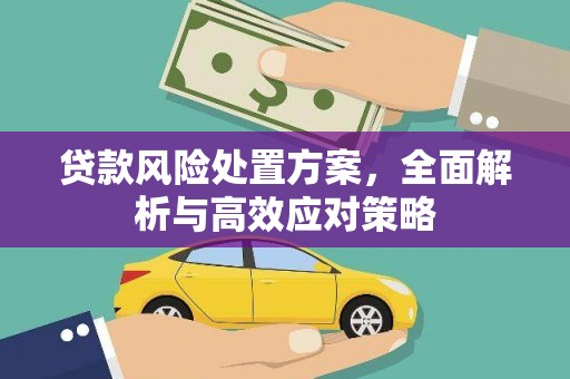 涟水贷款风险处置方案，全面解析与高效应对策略