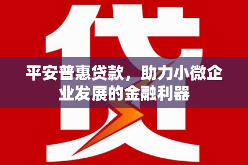 涟水平安普惠贷款，助力小微企业发展的金融利器