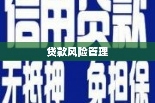 涟水贷款风险管理