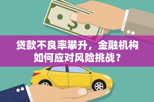 涟水贷款不良率攀升，金融机构如何应对风险挑战？