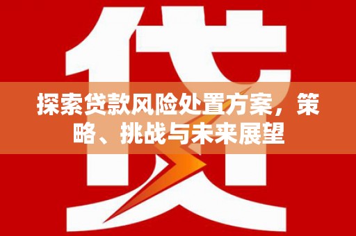 涟水探索贷款风险处置方案，策略、挑战与未来展望