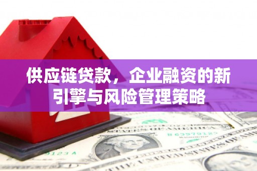 涟水供应链贷款，企业融资的新引擎与风险管理策略