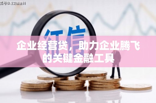 涟水企业经营贷，助力企业腾飞的关键金融工具