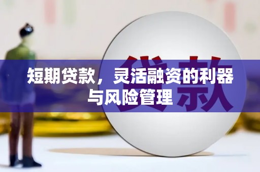 涟水短期贷款，灵活融资的利器与风险管理