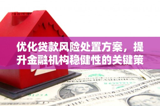 涟水优化贷款风险处置方案，提升金融机构稳健性的关键策略