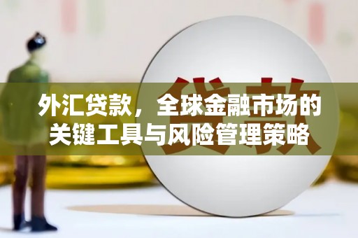 涟水外汇贷款，全球金融市场的关键工具与风险管理策略