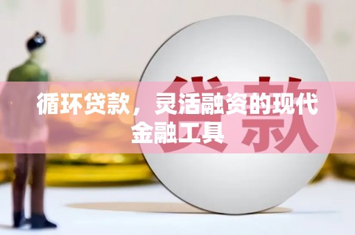 涟水循环贷款，灵活融资的现代金融工具