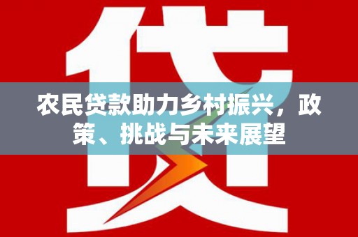 涟水农民贷款助力乡村振兴，政策、挑战与未来展望