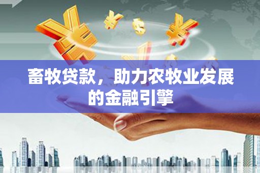 涟水畜牧贷款，助力农牧业发展的金融引擎