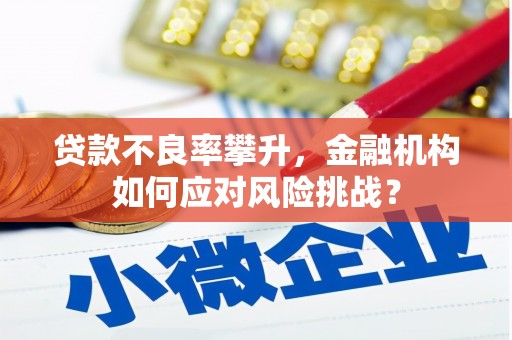 涟水贷款不良率攀升，金融机构如何应对风险挑战？
