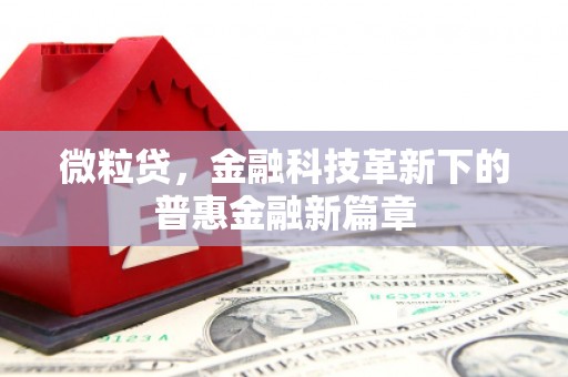 涟水微粒贷，金融科技革新下的普惠金融新篇章