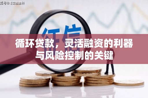 涟水循环贷款，灵活融资的利器与风险控制的关键