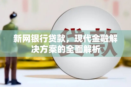 涟水新网银行贷款，现代金融解决方案的全面解析