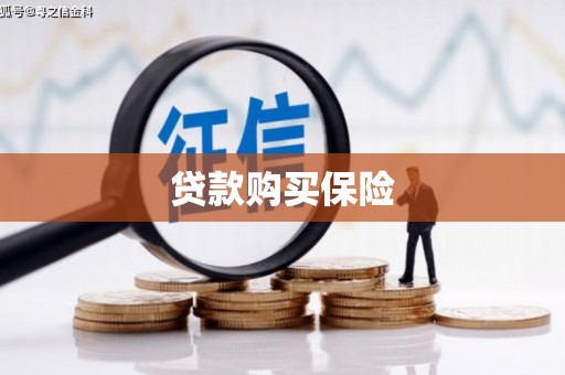 涟水贷款购买保险