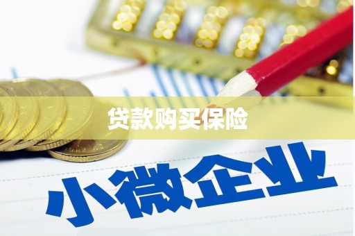 涟水贷款购买保险