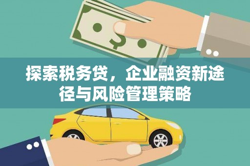 涟水探索税务贷，企业融资新途径与风险管理策略