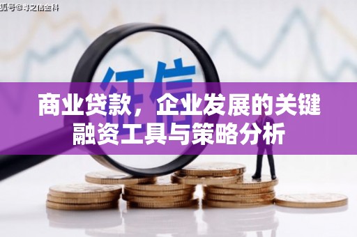 涟水商业贷款，企业发展的关键融资工具与策略分析