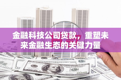 涟水金融科技公司贷款，重塑未来金融生态的关键力量