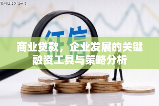 涟水商业贷款，企业发展的关键融资工具与策略分析