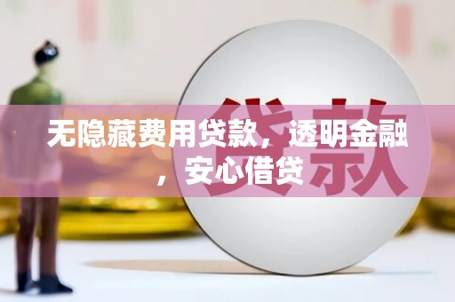 涟水无隐藏费用贷款，透明金融，安心借贷