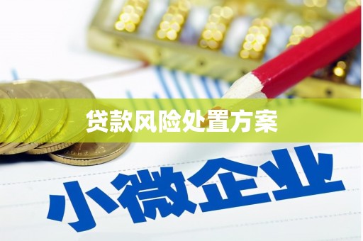 涟水贷款风险处置方案