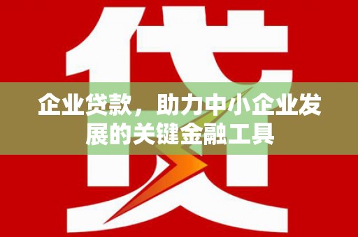 涟水企业贷款，助力中小企业发展的关键金融工具