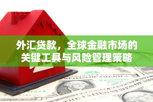 涟水外汇贷款，全球金融市场的关键工具与风险管理策略