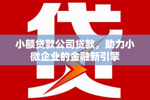 涟水小额贷款公司贷款，助力小微企业的金融新引擎