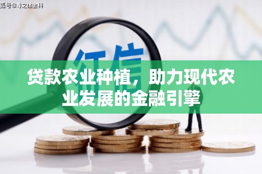 涟水贷款农业种植，助力现代农业发展的金融引擎
