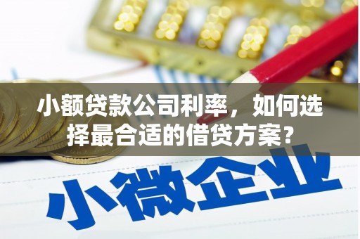 涟水小额贷款公司利率，如何选择最合适的借贷方案？