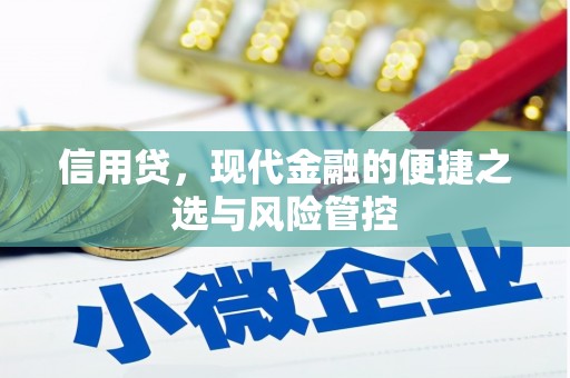 涟水信用贷，现代金融的便捷之选与风险管控