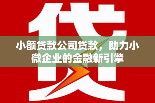 涟水小额贷款公司贷款，助力小微企业的金融新引擎