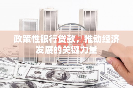 涟水政策性银行贷款，推动经济发展的关键力量
