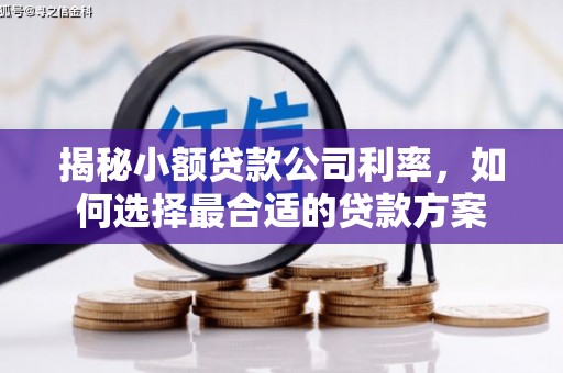 涟水揭秘小额贷款公司利率，如何选择最合适的贷款方案