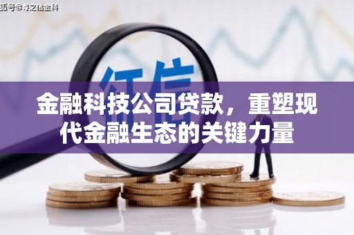 涟水金融科技公司贷款，重塑现代金融生态的关键力量